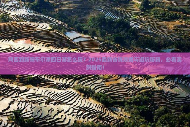 鸡西到新疆布尔津四日游