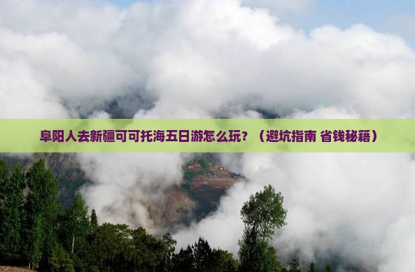 阜阳去新疆可可托海五日游