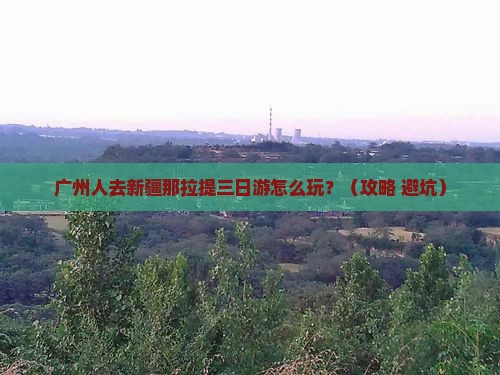 广州去新疆那拉提三日游