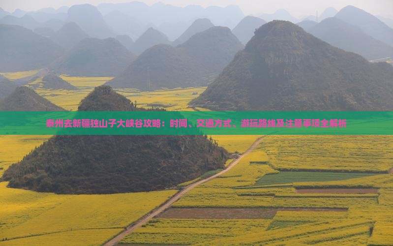 泰州去新疆独山子大峡谷攻略