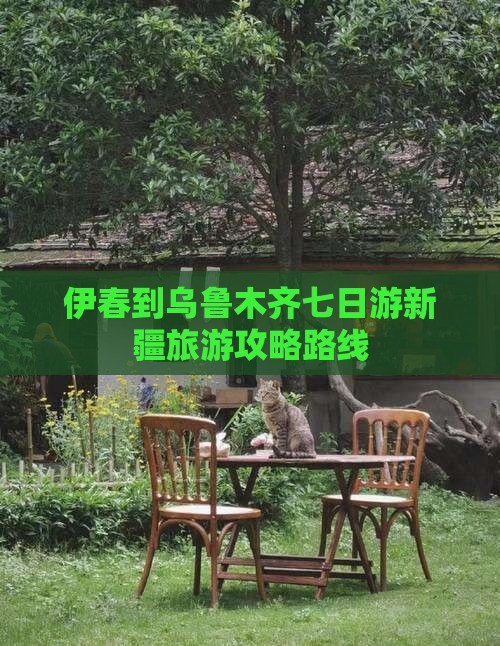 伊春去新疆乌鲁木齐七日游
