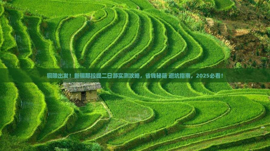 铜陵到新疆那拉提二日游