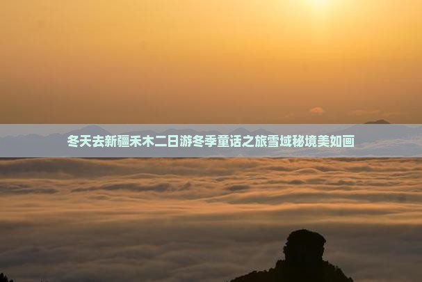冬天去新疆禾木二日游