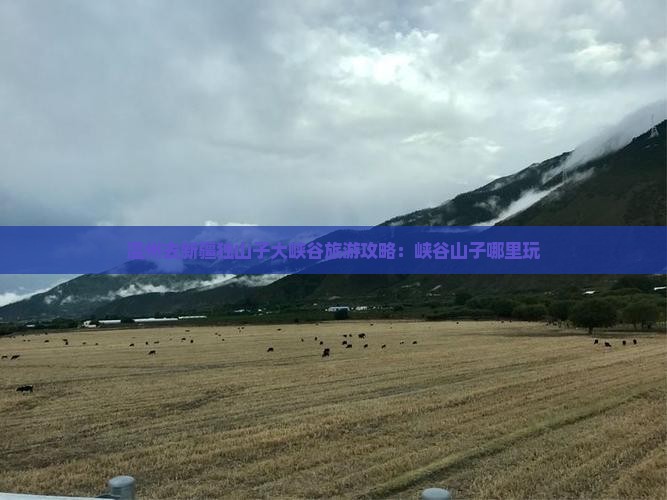 温州去新疆独山子大峡谷哪里玩