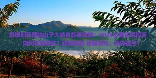 塔城到新疆独山子大峡谷旅游