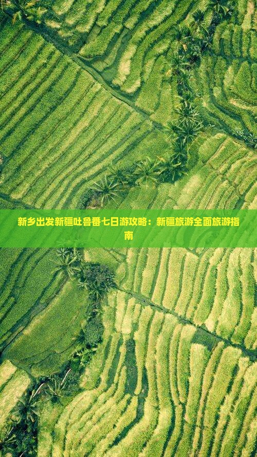 新乡去新疆吐鲁番七日游