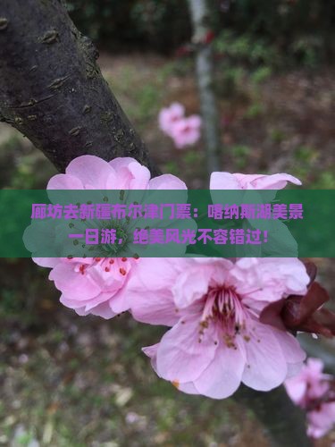 廊坊去新疆布尔津门票