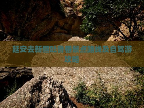 延安去新疆吐鲁番景点