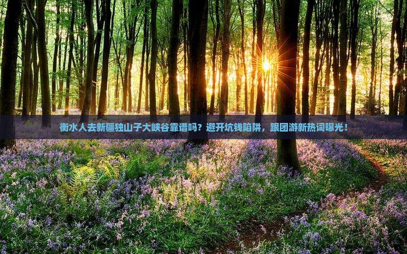 衡水去新疆独山子大峡谷旅行社