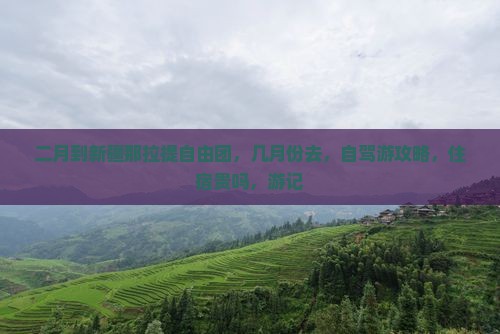二月到新疆那拉提自由团 二月到新疆那拉提自由团