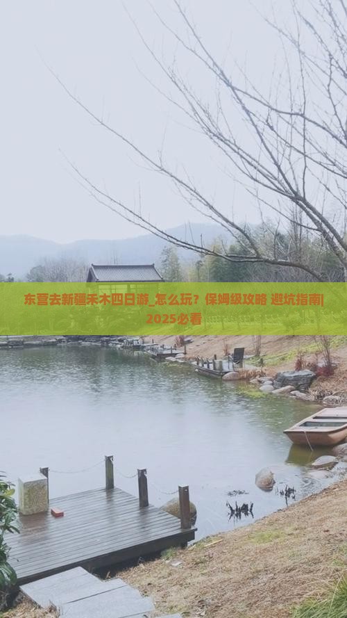 东营去新疆禾木四日游