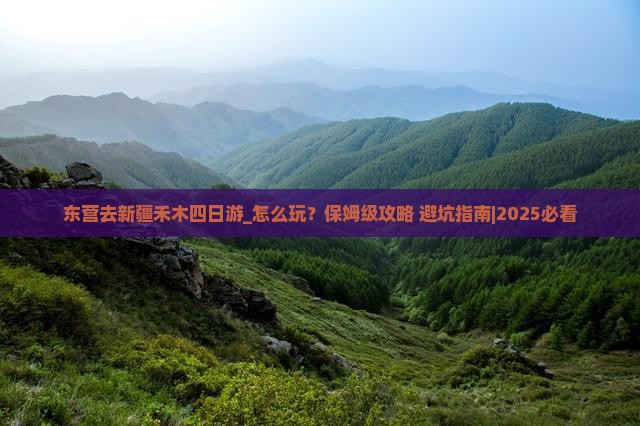 东营去新疆禾木四日游