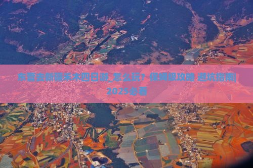 东营去新疆禾木四日游