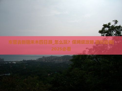 东营去新疆禾木四日游