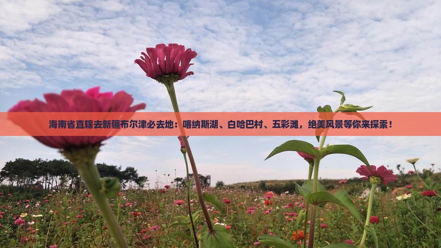 海南省直辖去新疆布尔津必去地