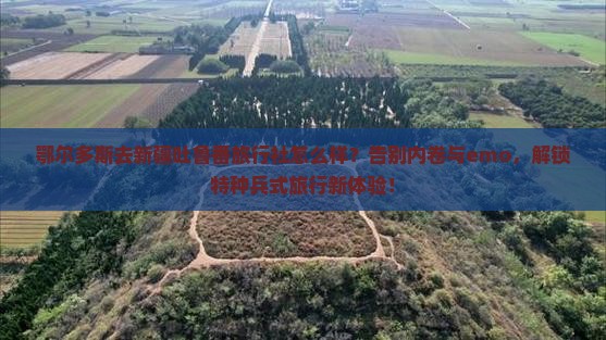 鄂尔多斯去新疆吐鲁番旅行社