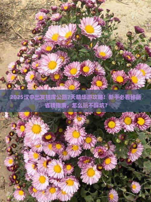 汉中到新疆独库公路必去地