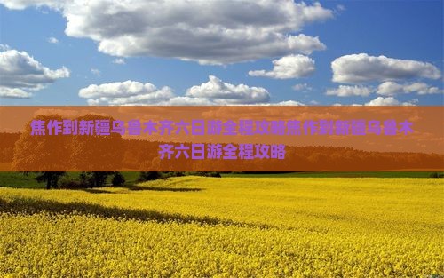 焦作到新疆乌鲁木齐六日游