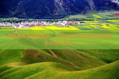南京出发至新疆旅游：怎样规划行程以品尝当地特色小吃与美食？
