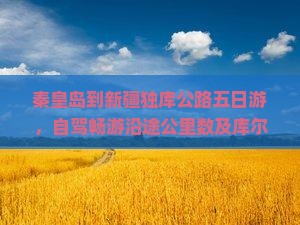 秦皇岛到新疆独库公路五日游，自驾畅游沿途公里数及库尔勒距离解析