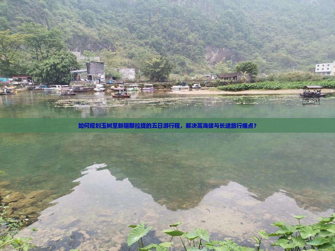 如何规划玉树至新疆那拉提的五日游行程，解决高海拔与长途旅行痛点？