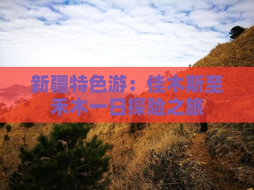 新疆特色游：佳木斯至禾木一日探险之旅