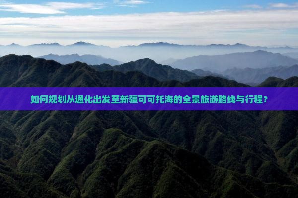如何规划从通化出发至新疆可可托海的全景旅游路线与行程？