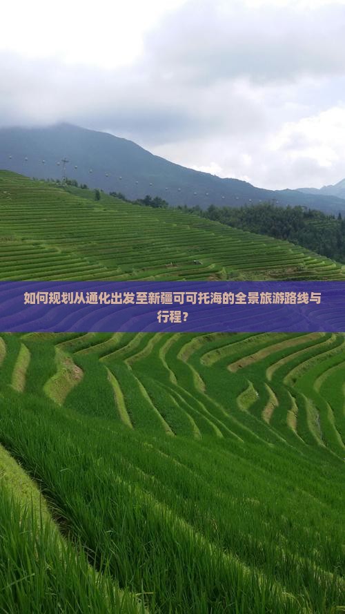 如何规划从通化出发至新疆可可托海的全景旅游路线与行程？