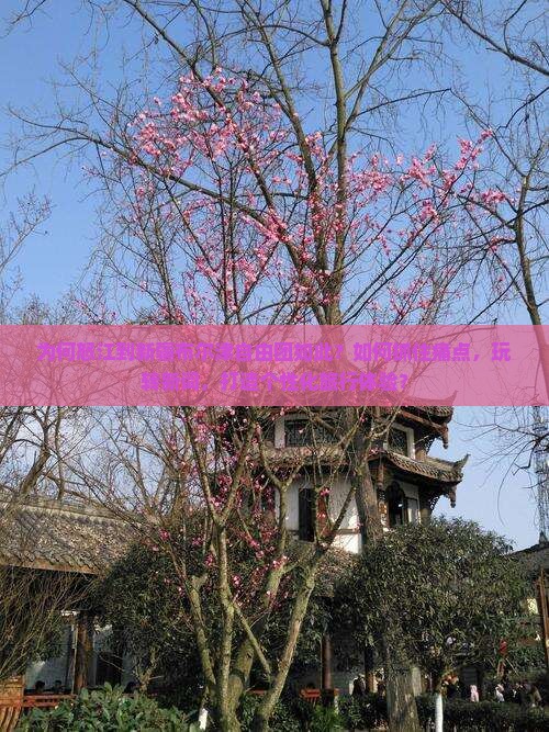 为何怒江到新疆布尔津自由团如此？如何抓住痛点，玩转新词，打造个性化旅行体验？