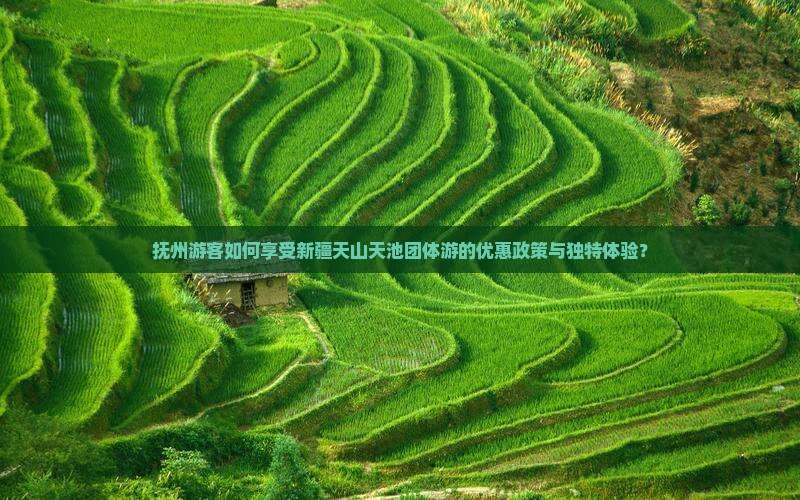 抚州游客如何享受新疆天山天池团体游的优惠政策与独特体验？