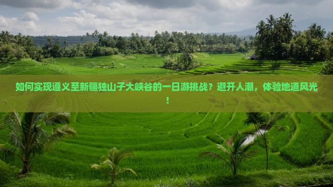 如何实现遵义至新疆独山子大峡谷的一日游挑战？避开人潮，体验地道风光！