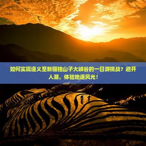 如何实现遵义至新疆独山子大峡谷的一日游挑战？避开人潮，体验地道风光！