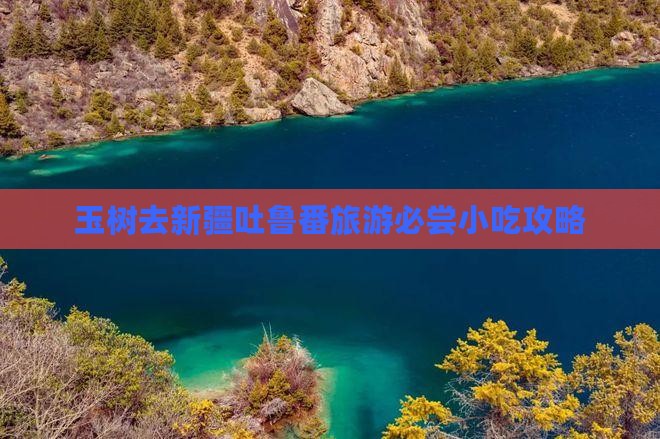 玉树去新疆吐鲁番旅游必尝小吃攻略