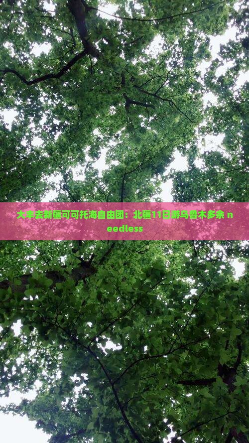 大丰去新疆可可托海自由团：北疆11日游乌鲁木多余 needless