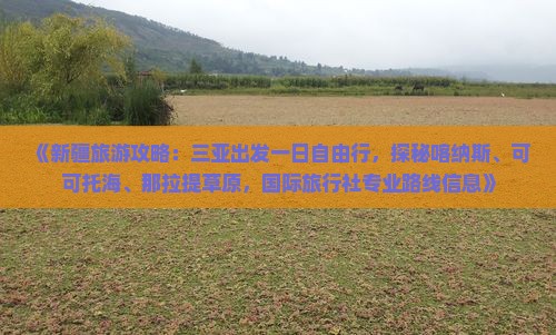 《新疆旅游攻略：三亚出发一日自由行，探秘喀纳斯、可可托海、那拉提草原，国际旅行社专业路线信息》