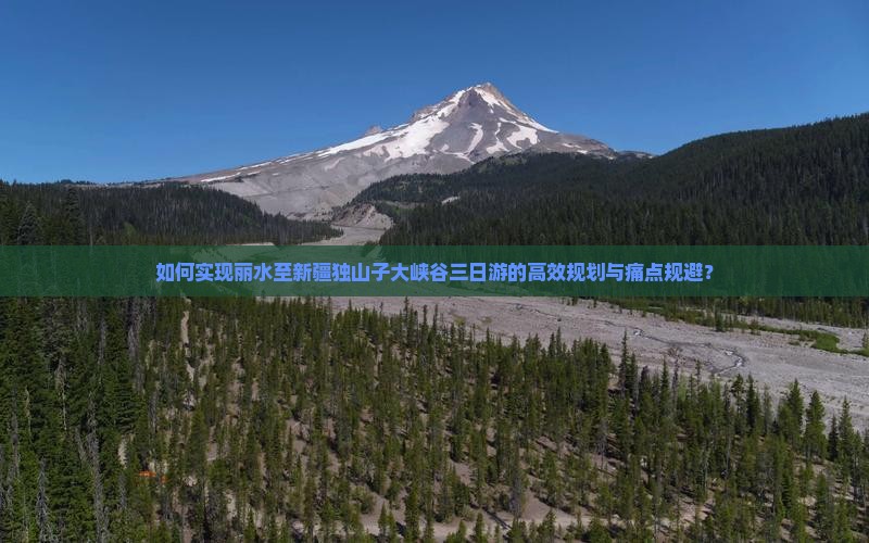 如何实现丽水至新疆独山子大峡谷三日游的高效规划与痛点规避？