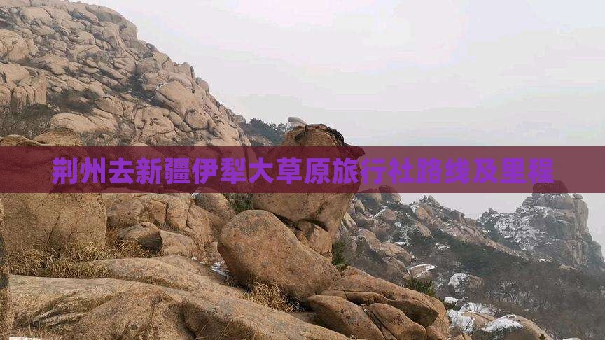 荆州去新疆伊犁大草原旅行社路线及里程