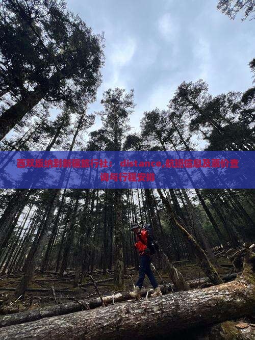西双版纳到新疆旅行社： distance,航班信息及票价查询与行程安排