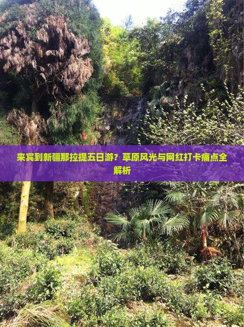 来宾到新疆那拉提五日游？草原风光与网红打卡痛点全解析