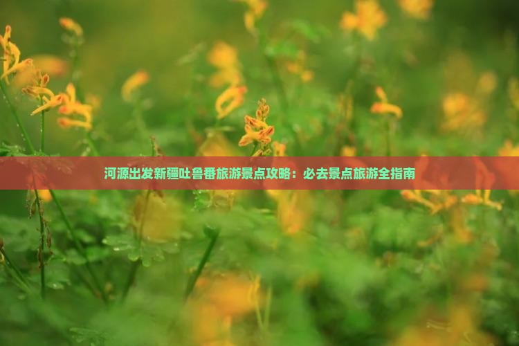 河源出发新疆吐鲁番旅游景点攻略：必去景点旅游全指南