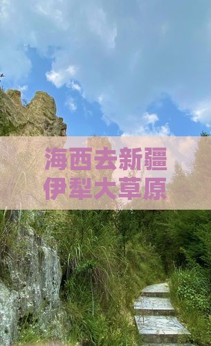 海西去新疆伊犁大草原七日游费用及路线详解