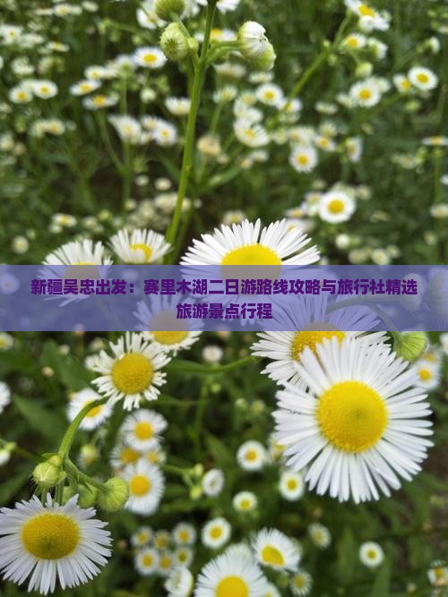 新疆吴忠出发：赛里木湖二日游路线攻略与旅行社精选旅游景点行程