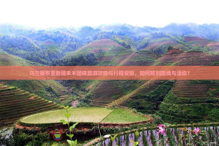 乌兰察布至新疆禾木团体旅游攻略与行程安排，如何规划路线与活动？