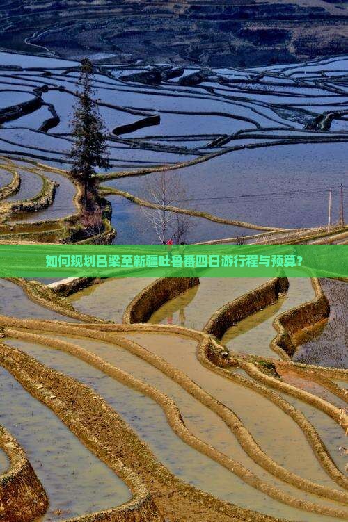 如何规划吕梁至新疆吐鲁番四日游行程与预算？