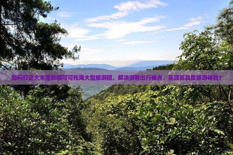 如何打造大丰至新疆可可托海大型旅游团，解决游客出行痛点，实现高品质旅游体验？