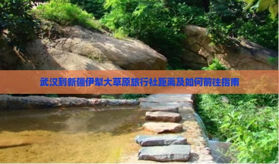 武汉到新疆伊犁大草原旅行社距离及如何前往指南