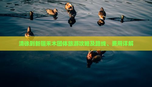 清徐到新疆禾木团体旅游攻略及路线、费用详解