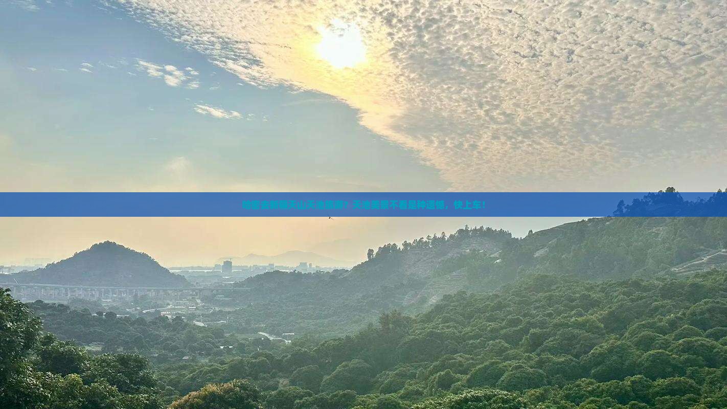 哈密去新疆天山天池旅游？天池美景不看是种遗憾，快上车！