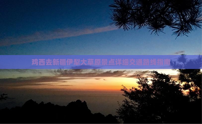 鸡西去新疆伊犁大草原景点详细交通路线指南