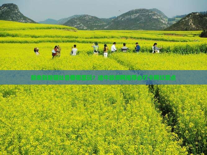 新余到新疆吐鲁番哪里玩？途牛旅游网推荐必打卡网红景点